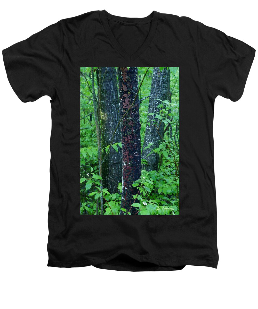 Trees Men's V-Neck T-Shirt featuring the photograph 3 Trees by Jo Smoley