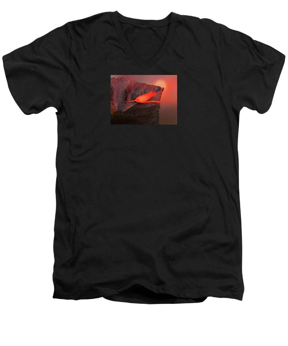 Flower Men's V-Neck T-Shirt featuring the photograph 4366 by Peter Holme III