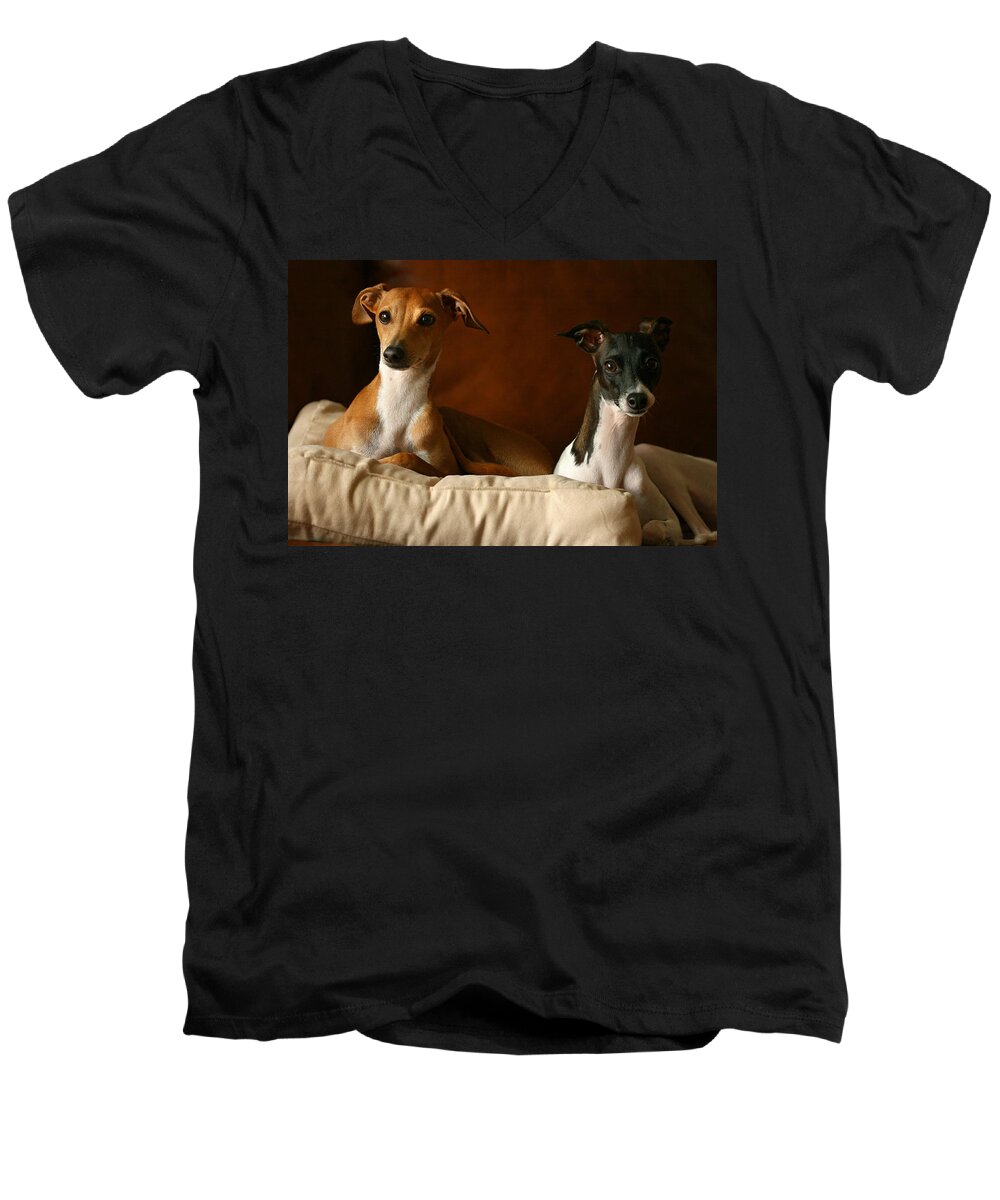 Editorial Men's V-Neck T-Shirt featuring the photograph Italian Greyhounds #3 by Angela Rath
