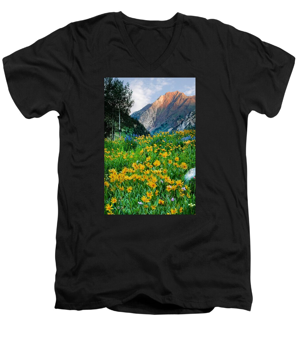 Little Cottonwood Canyon Men's V-Neck T-Shirt featuring the photograph Wasatch Mountains #5 by Douglas Pulsipher