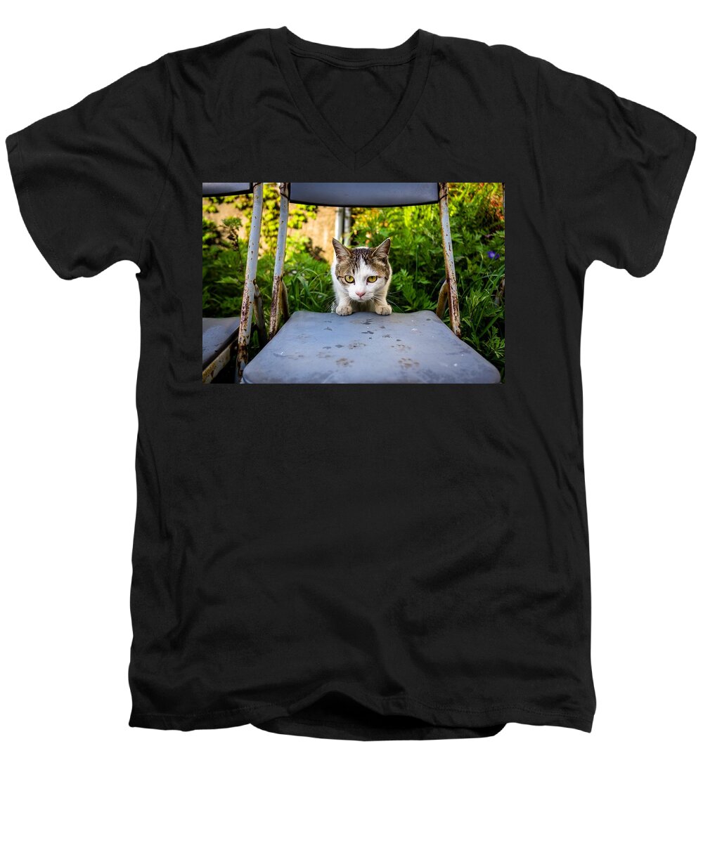 Cat Men's V-Neck T-Shirt featuring the digital art Cat #96 by Maye Loeser