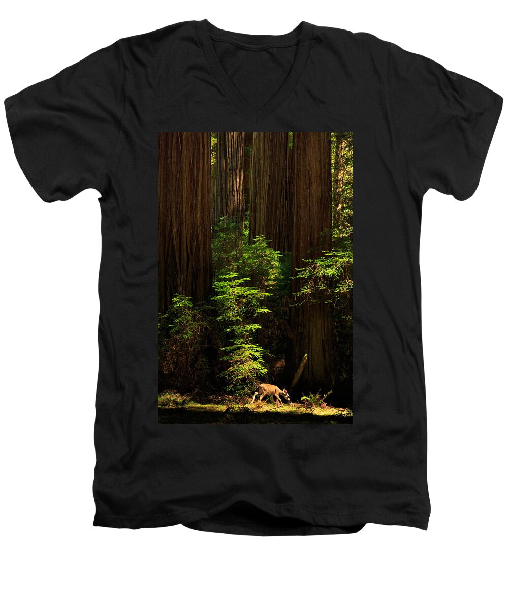 Deer Men's V-Neck T-Shirt featuring the photograph A Deer In The Redwoods by James Eddy