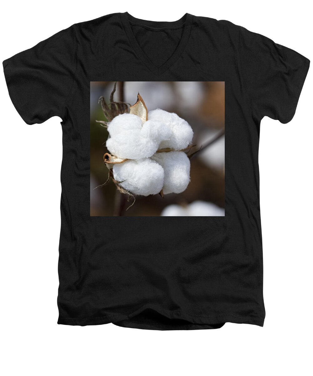 Cotton Men's V-Neck T-Shirt featuring the photograph Alabama Cotton Boll by Kathy Clark