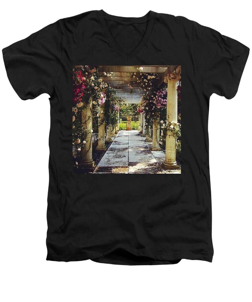 Rose Men's V-Neck T-Shirt featuring the photograph A Gilded Rose Garden by Kate Arsenault 