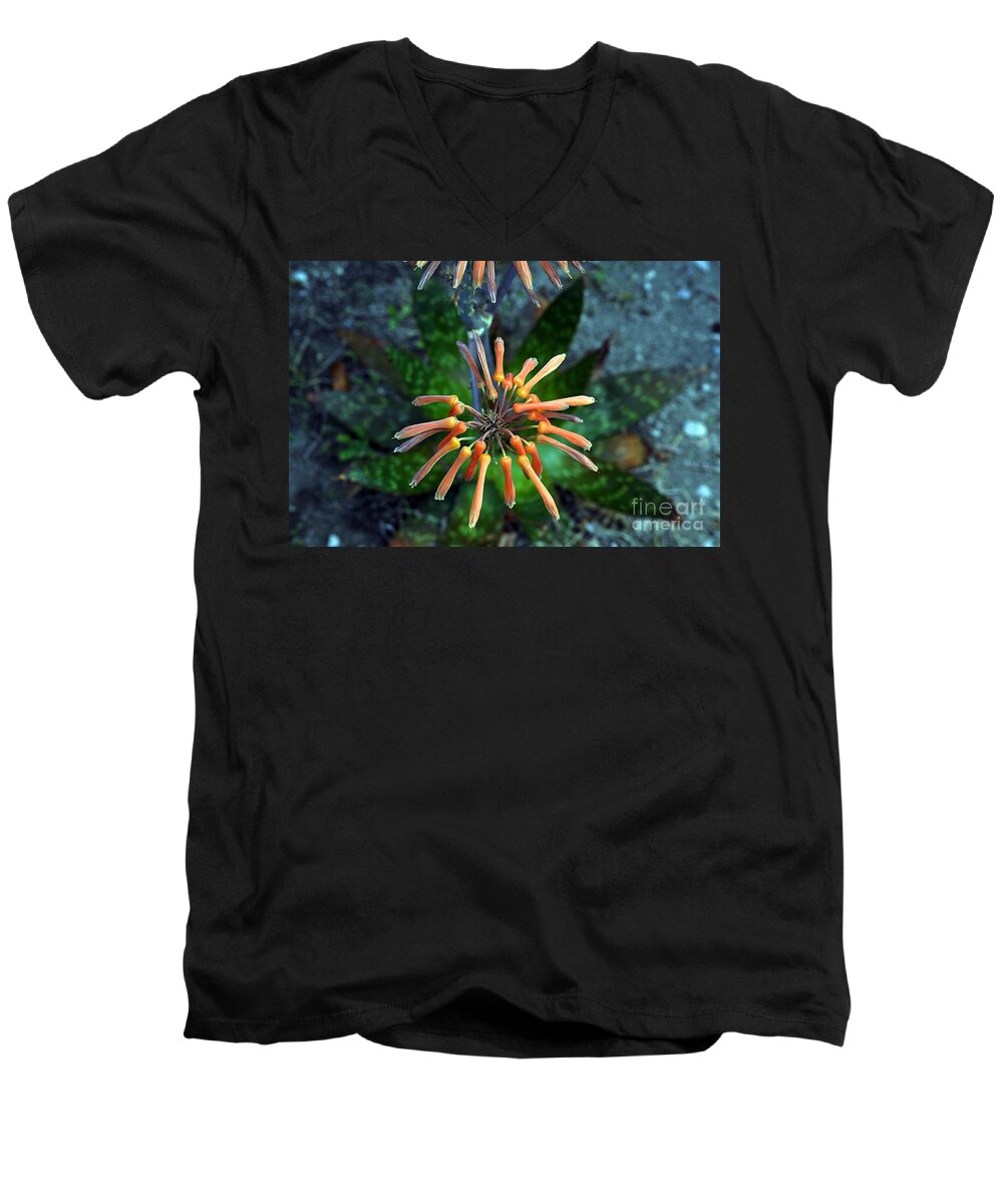 Clay Men's V-Neck T-Shirt featuring the photograph Aloe Vera by Clayton Bruster