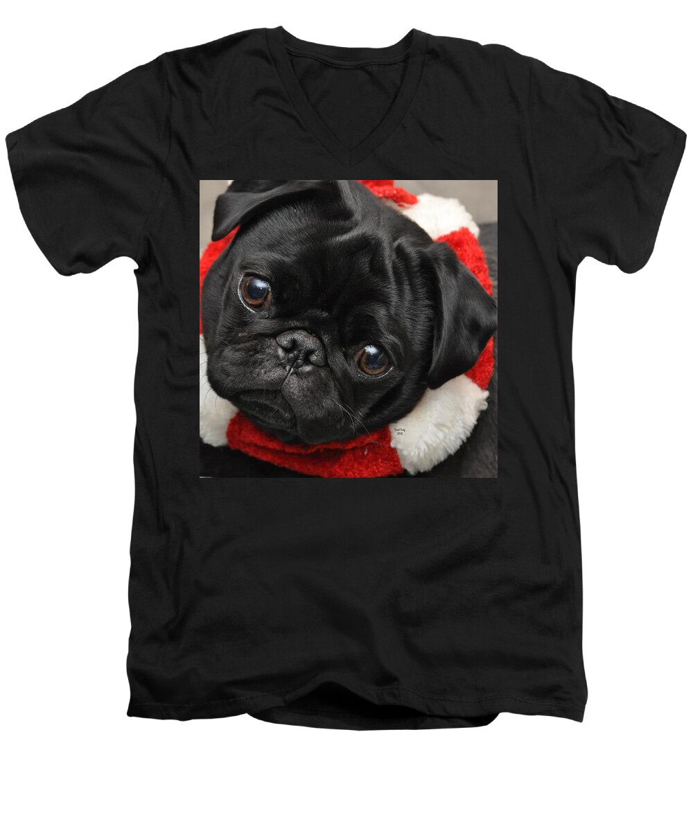 Dog Men's V-Neck T-Shirt featuring the photograph Alvin by Trish Tritz