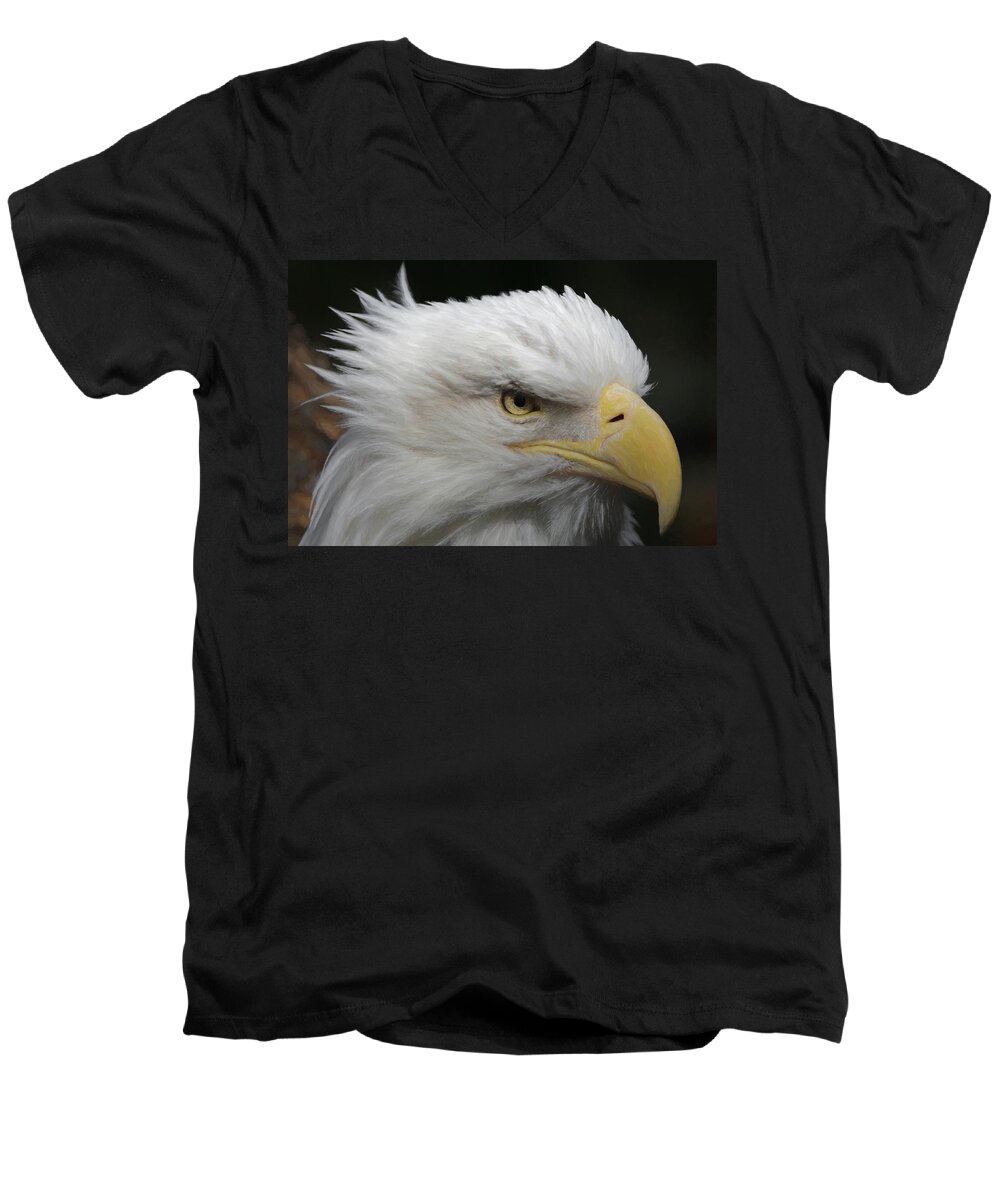 American Bald Eagle Men's V-Neck T-Shirt featuring the digital art American Bald Eagle Portrait by Ernest Echols