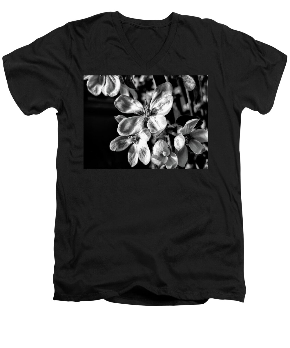Apple Blossom Men's V-Neck T-Shirt featuring the photograph Apple Blossom #1 by Kathy Bassett