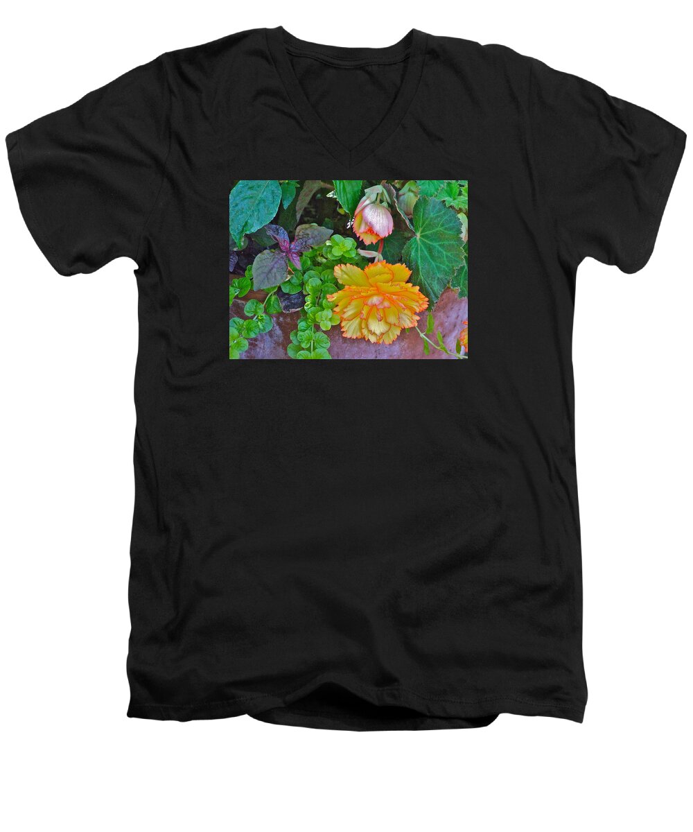 Begonia. Garden Flower Men's V-Neck T-Shirt featuring the photograph Apricot Begonia 3 by Janis Senungetuk