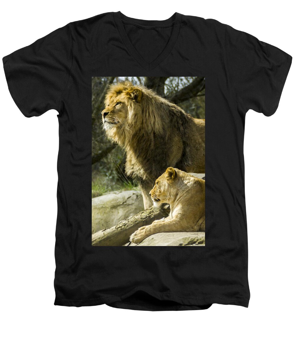Animals Men's V-Neck T-Shirt featuring the photograph Attention Captured by Albert Seger
