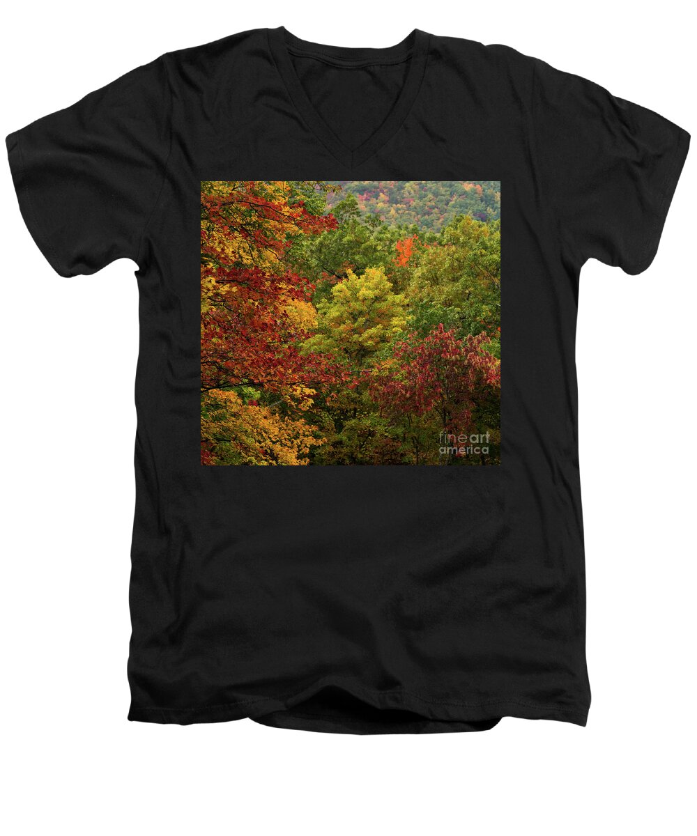 Roaring Fork Men's V-Neck T-Shirt featuring the photograph Autumn Colors by Doug Sturgess