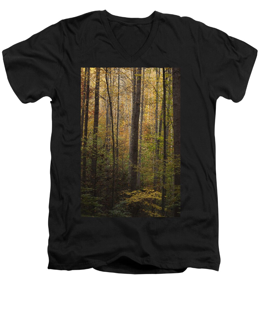 Autumn Men's V-Neck T-Shirt featuring the photograph Autumn in the Woods by Andrew Soundarajan