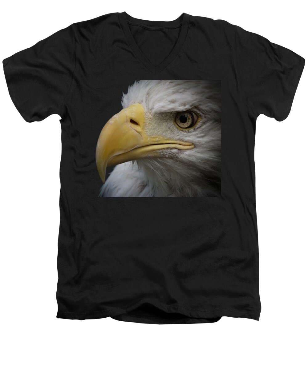 Animal Men's V-Neck T-Shirt featuring the photograph Bald Eagle 2 by Ernest Echols