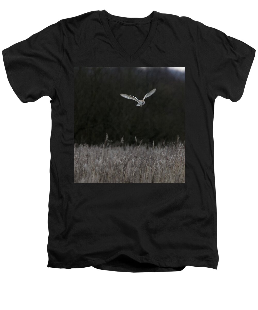 Barn Men's V-Neck T-Shirt featuring the photograph Barn Owl hunting at dusk by Tony Mills