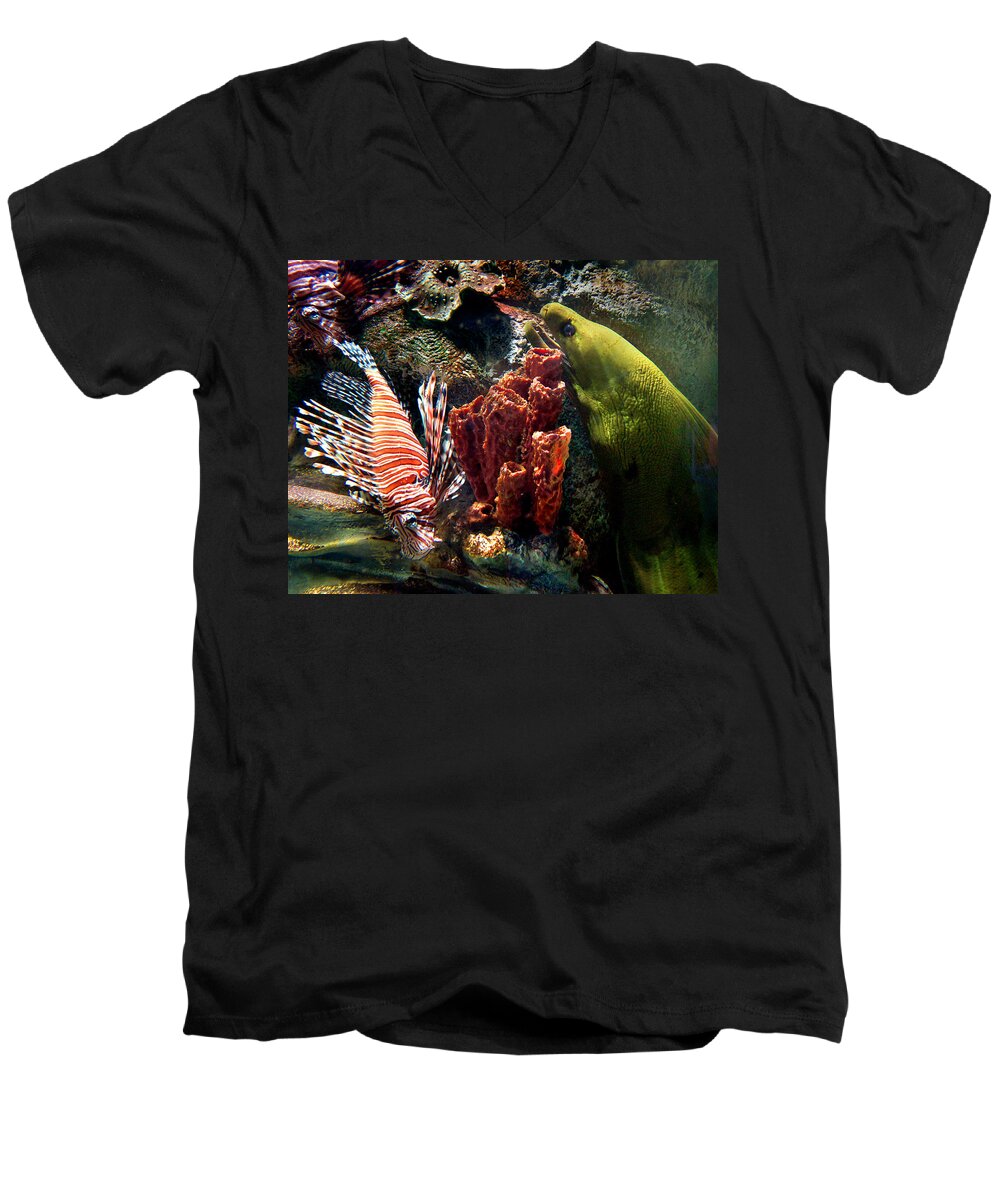 Eel Men's V-Neck T-Shirt featuring the photograph Barnacle Buddies by Bill Pevlor