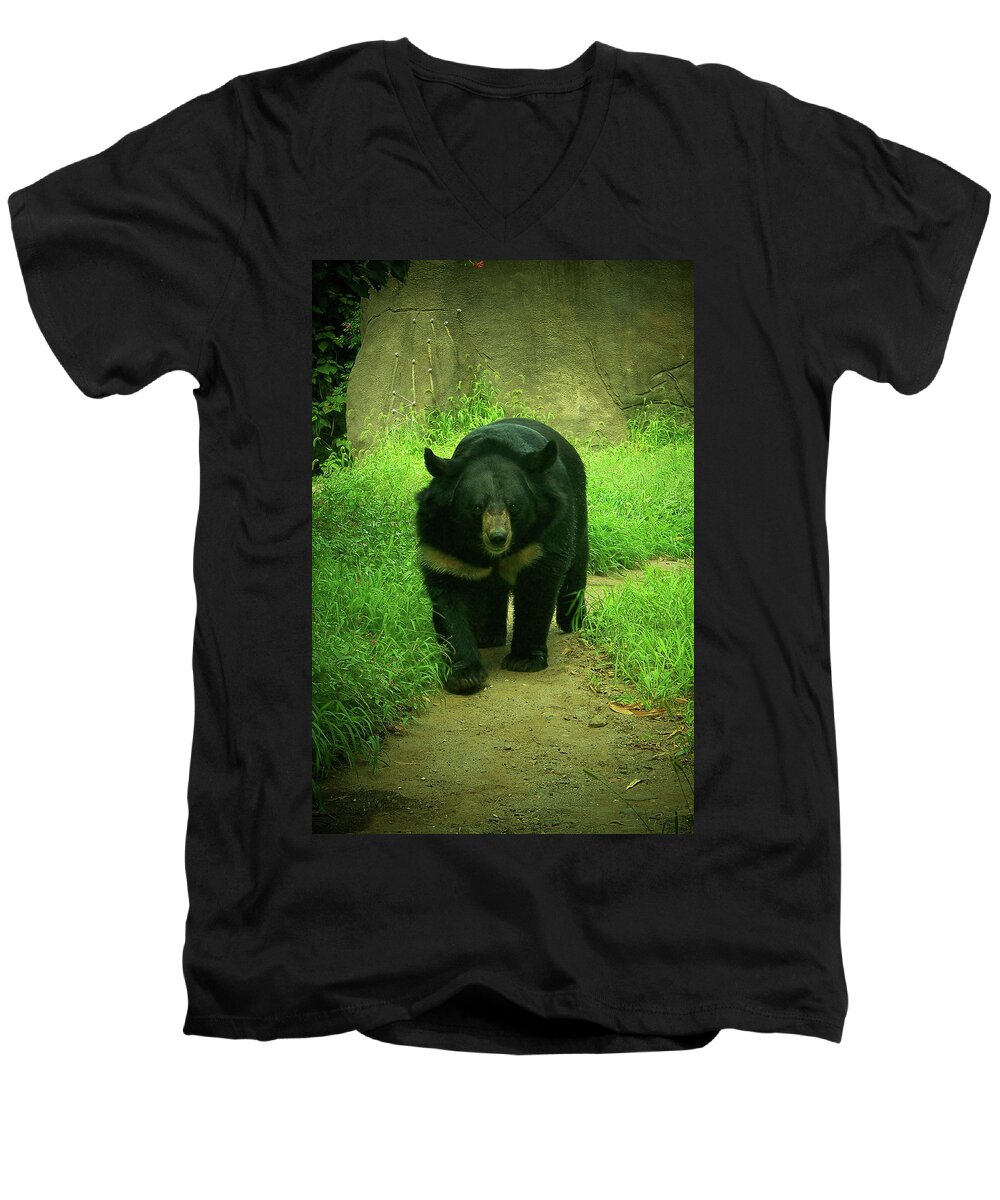 Bear Men's V-Neck T-Shirt featuring the photograph Bear On The Prowl by Trish Tritz