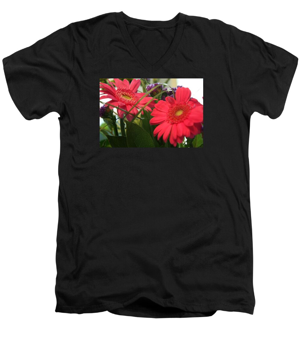 Daisies Men's V-Neck T-Shirt featuring the photograph Beautiful Red Daisies by Karen Nicholson