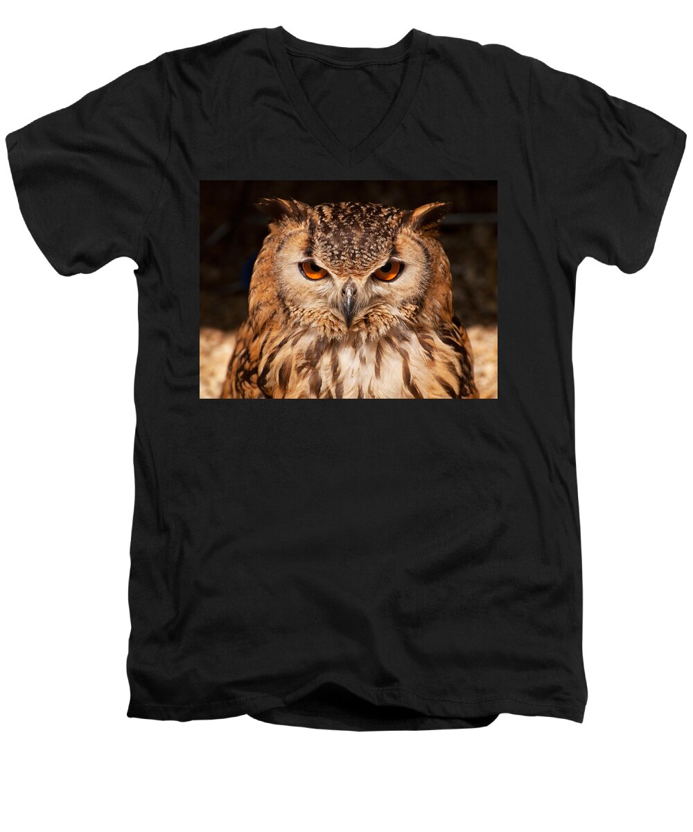 Owl Men's V-Neck T-Shirt featuring the photograph Bengal Owl by Chris Thaxter
