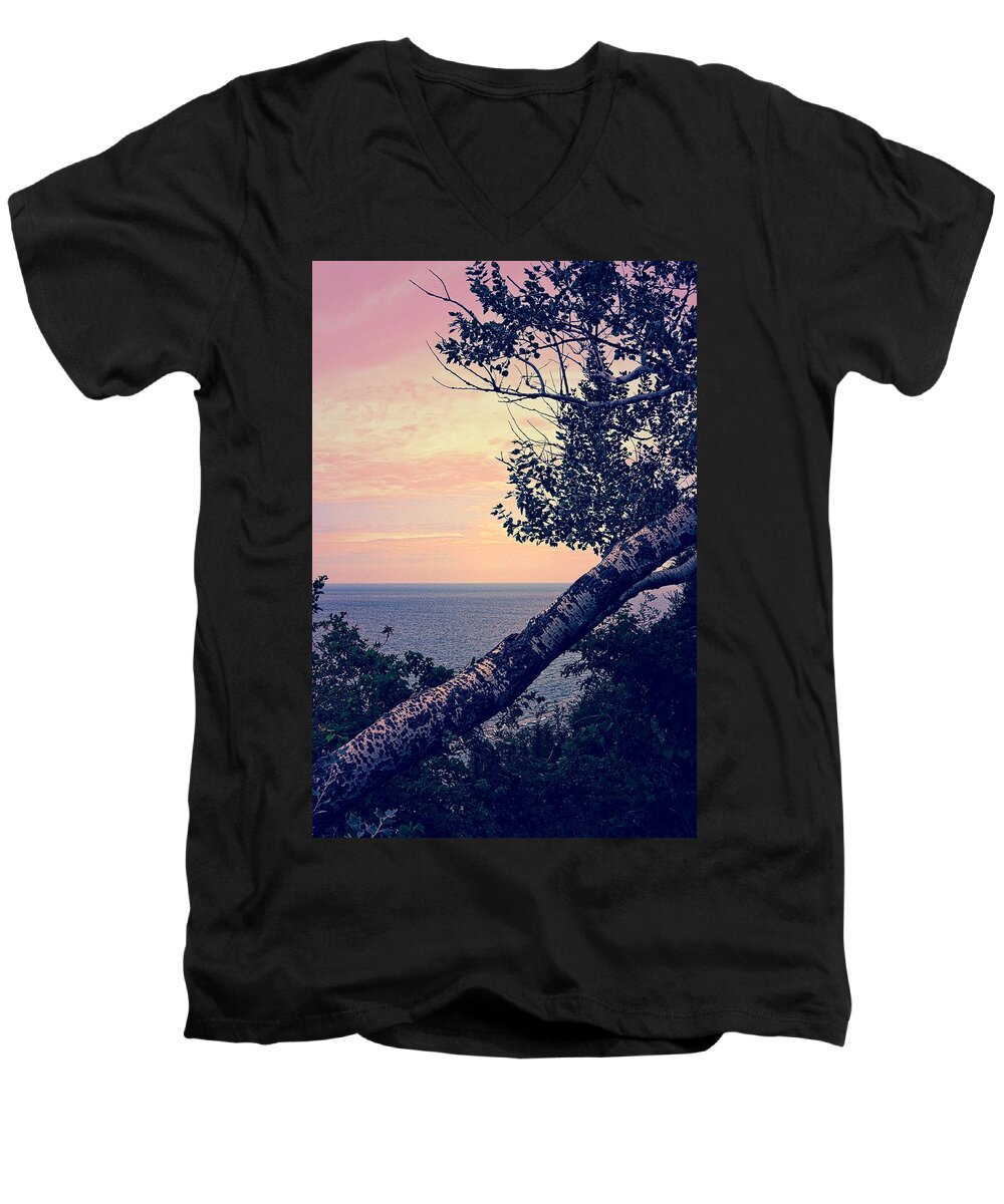 Sunset Men's V-Neck T-Shirt featuring the photograph Birch at the Overlook by Michelle Calkins
