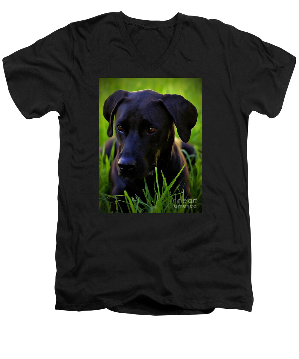 Black Dog Men's V-Neck T-Shirt featuring the photograph Black Velvet by Clare Bevan