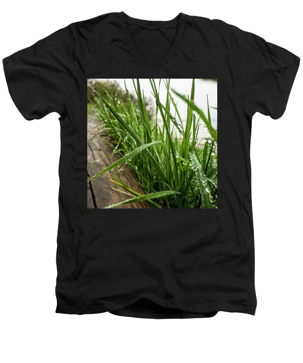 Grass Men's V-Neck T-Shirt featuring the photograph Border by Terri Hart-Ellis