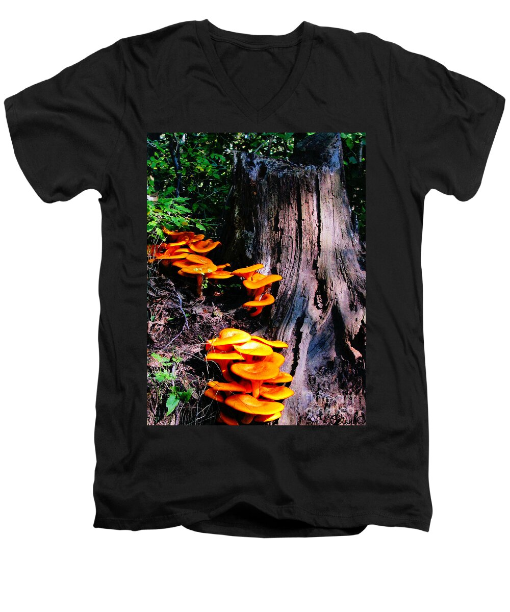 Orange Men's V-Neck T-Shirt featuring the photograph Brilliant Orange by September Stone