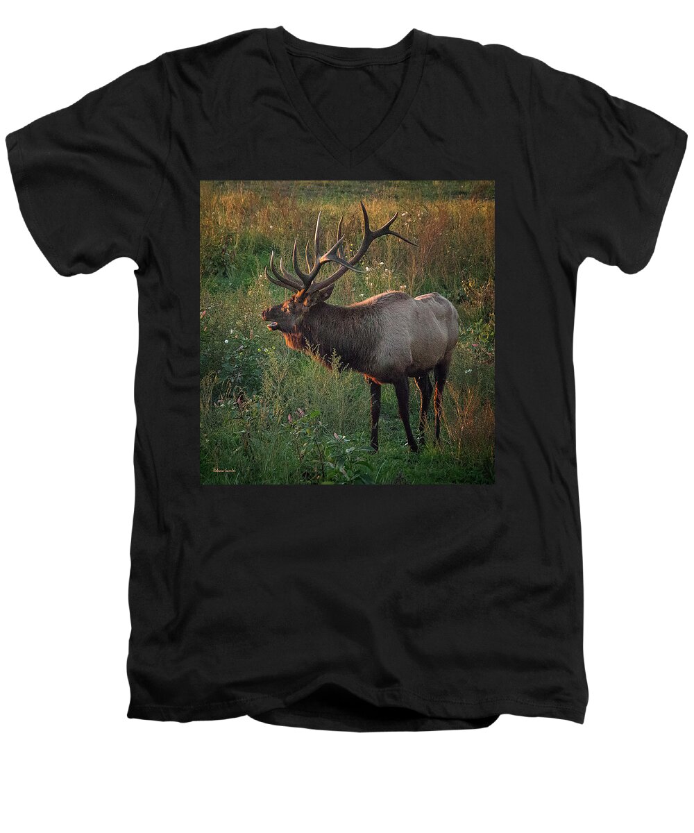 Elk Men's V-Neck T-Shirt featuring the photograph Bull Elk by Rebecca Samler