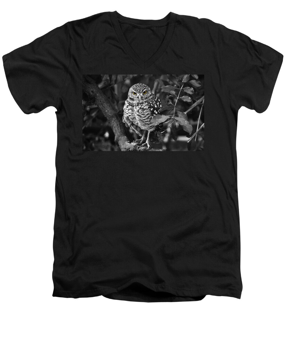 Burrowing Owl Men's V-Neck T-Shirt featuring the photograph Burrowing Owl selective color eyes by Judy Wanamaker