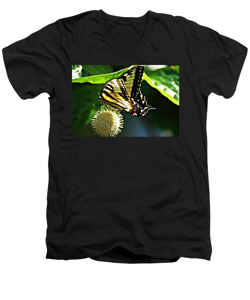 Butterfly Men's V-Neck T-Shirt featuring the photograph Butterfly 4 by Joe Faherty
