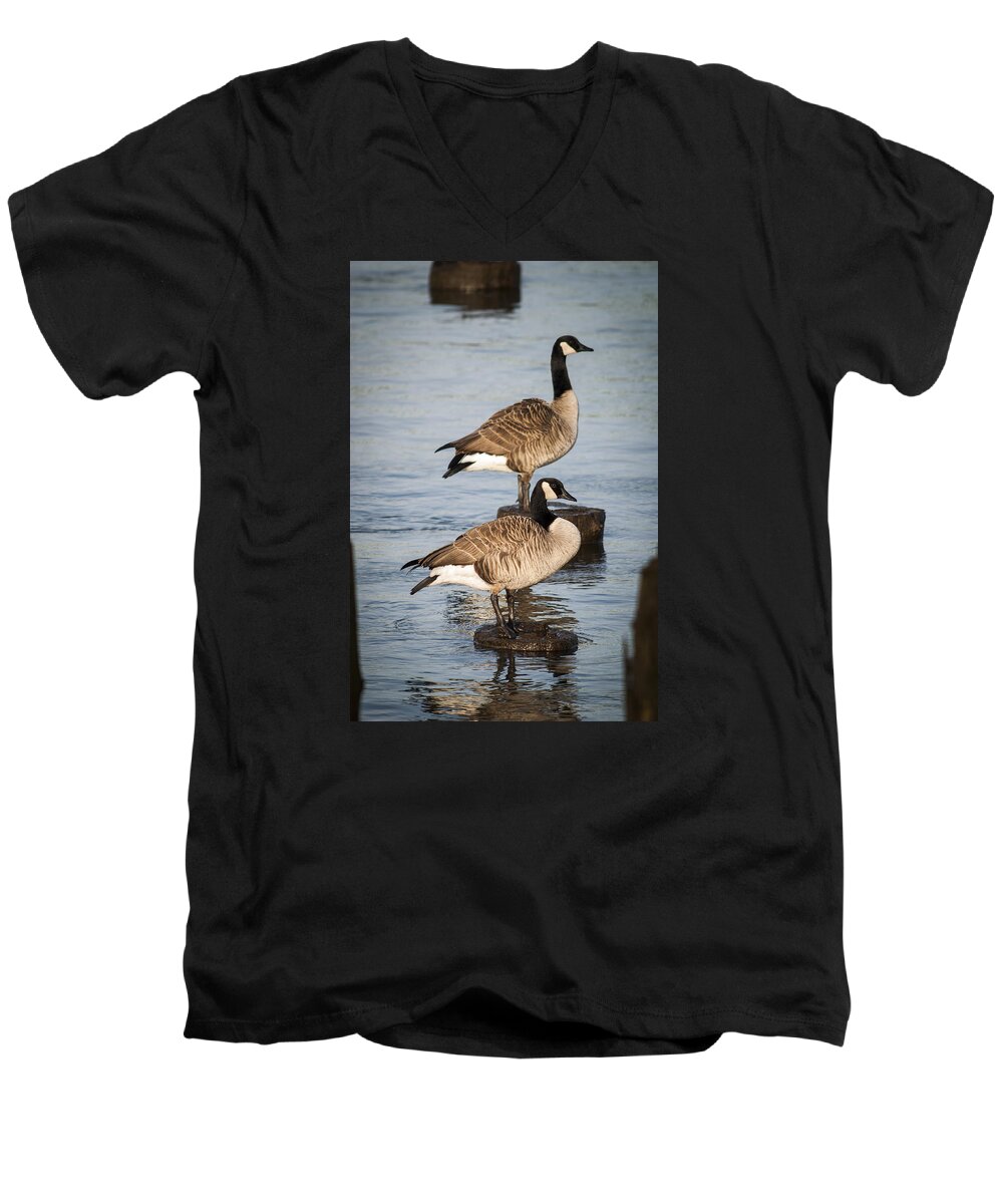 Astoria Men's V-Neck T-Shirt featuring the photograph Canada Geese on Pilings by Robert Potts