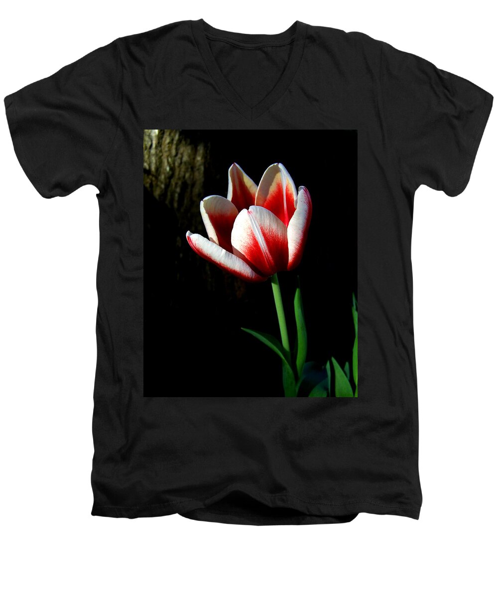Nature Men's V-Neck T-Shirt featuring the photograph Candy Cane Tulip by Peggy Urban