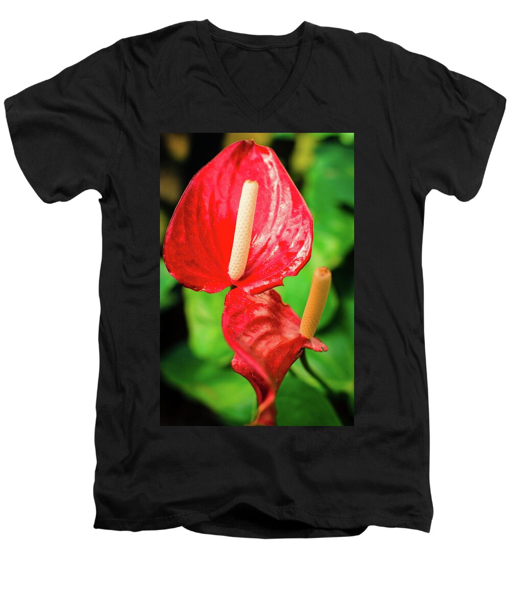 Chicago Men's V-Neck T-Shirt featuring the photograph City Garden Flowers by Miguel Winterpacht