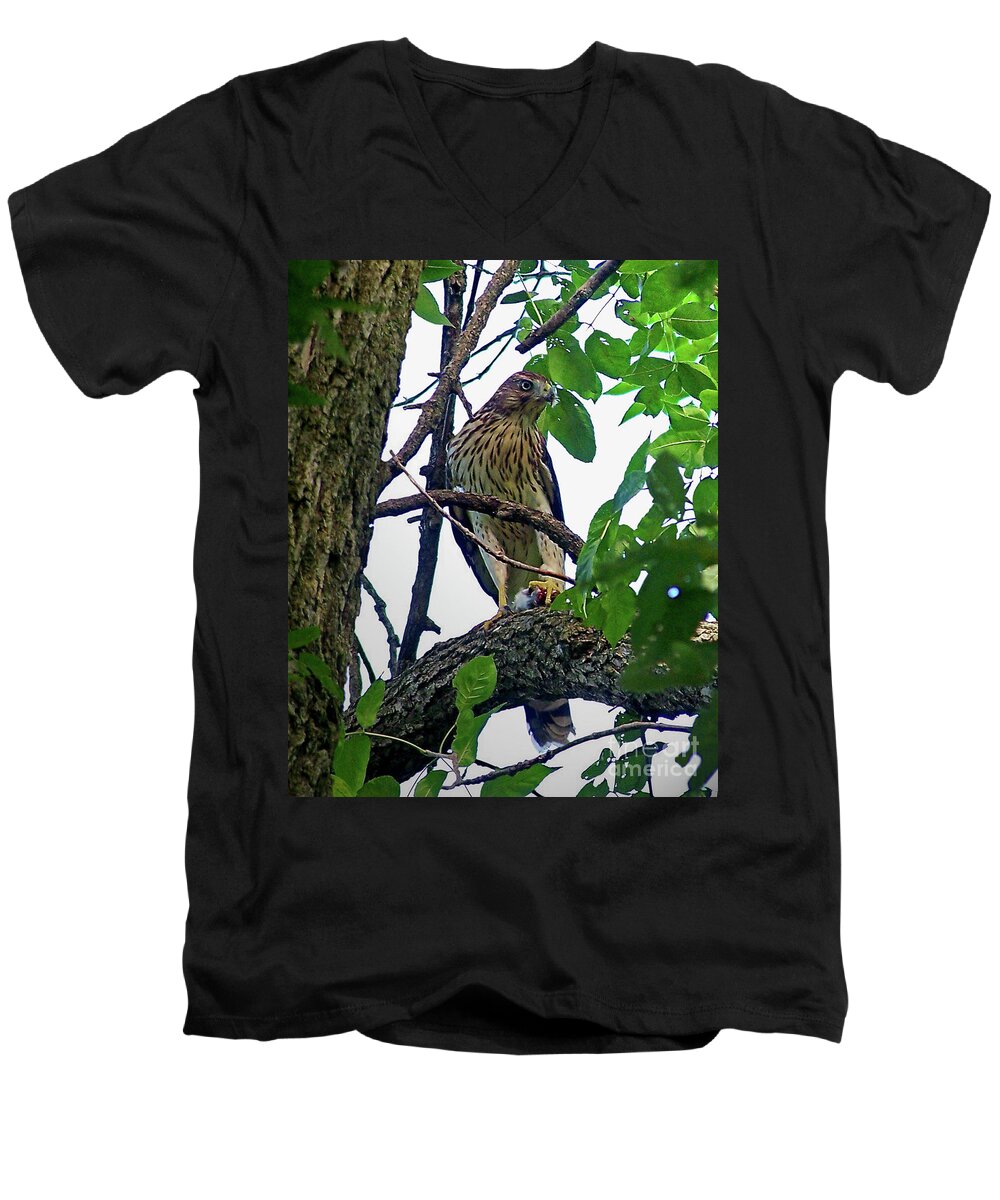 Color Photography Men's V-Neck T-Shirt featuring the photograph Cooper Hawk by Sue Stefanowicz