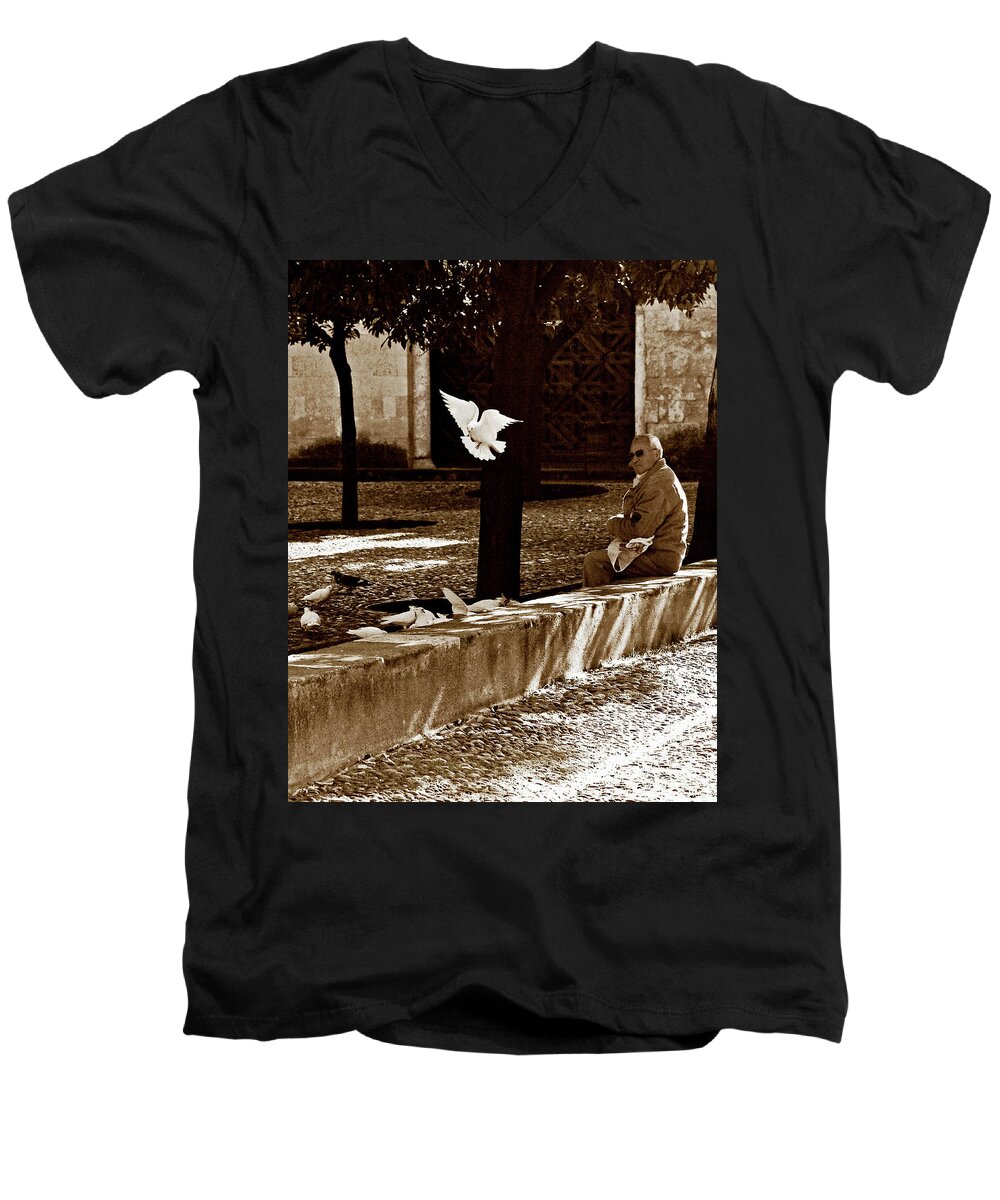 Dove Men's V-Neck T-Shirt featuring the photograph Cordoba Flight by Lorraine Devon Wilke