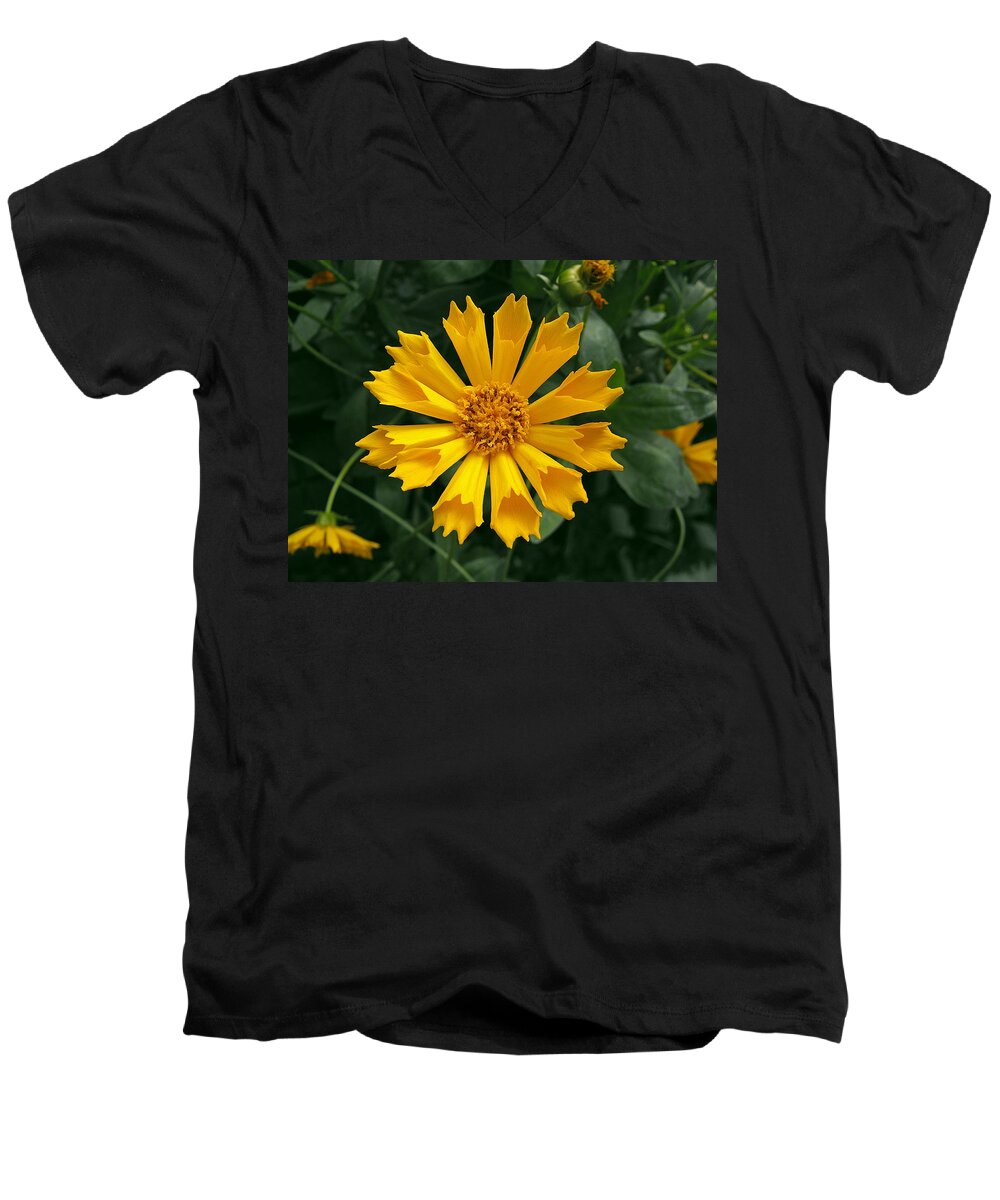 Floral Picture Men's V-Neck T-Shirt featuring the photograph Coreopsis Jethro Tull by Kae Cheatham