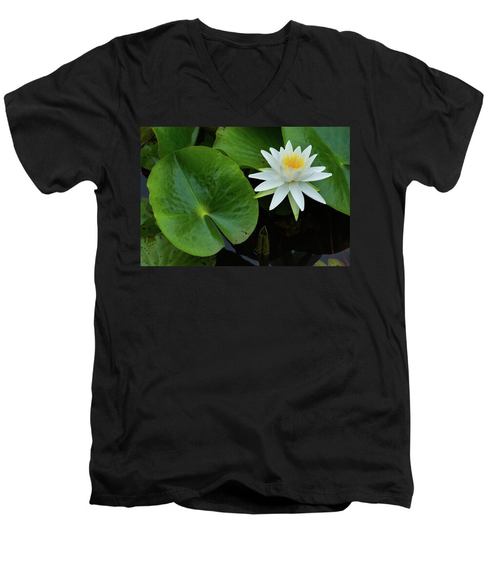 Bloom Men's V-Neck T-Shirt featuring the photograph Crisp White and Yellow Lily by Dennis Dame