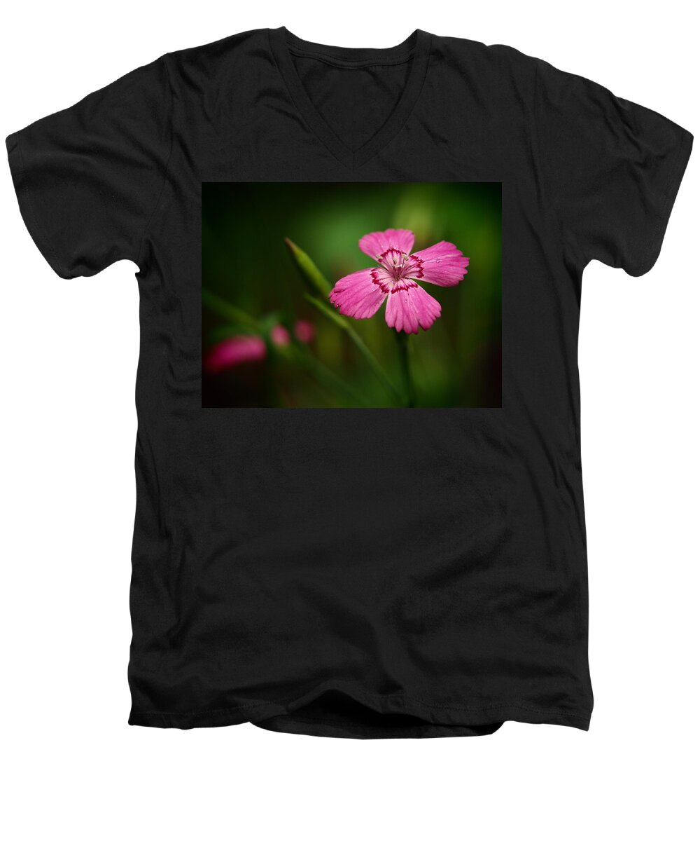 Flowers Men's V-Neck T-Shirt featuring the photograph Dianthus In The Garden Shadows by Dorothy Lee