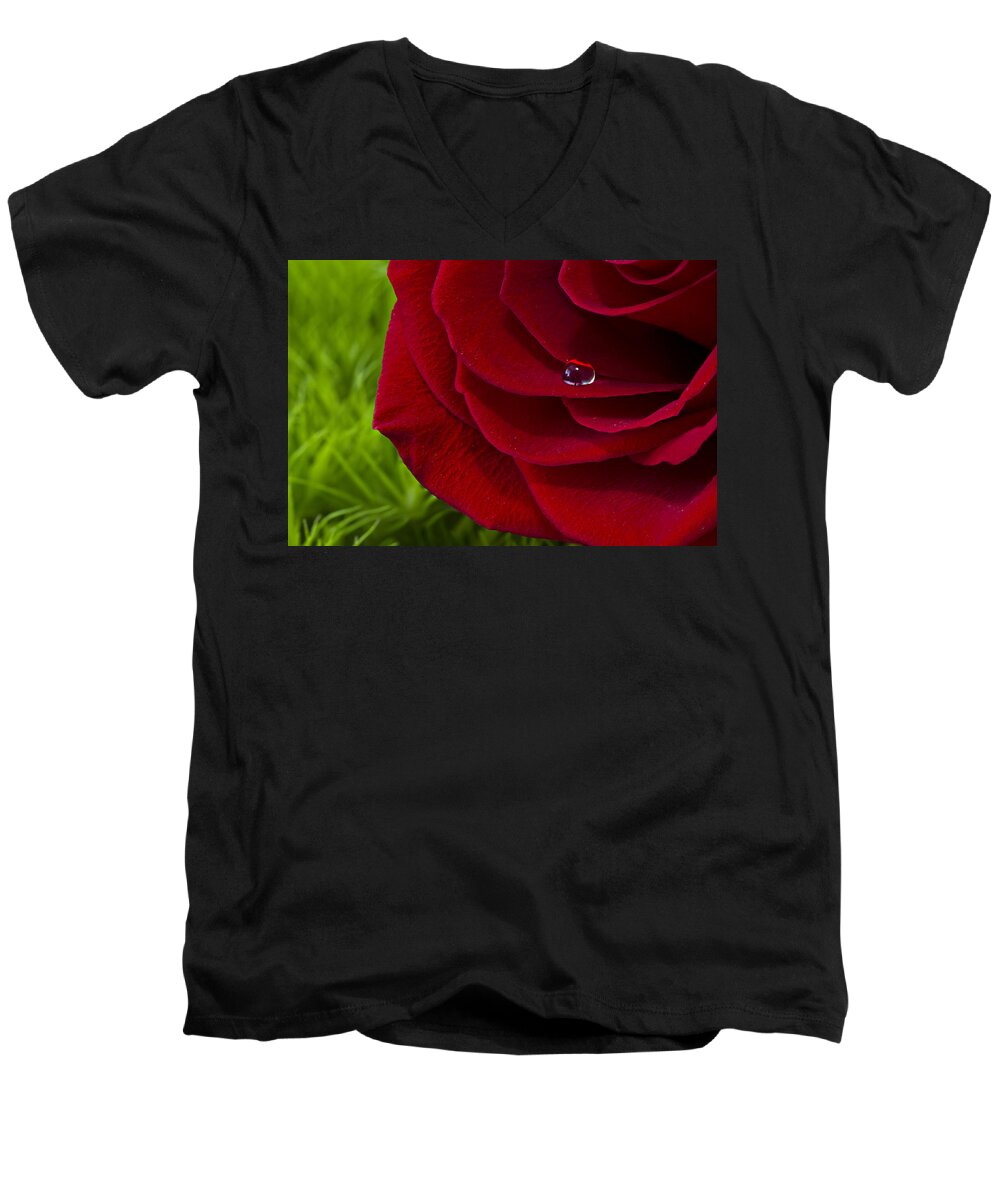 Wall Art Men's V-Neck T-Shirt featuring the photograph Drop on a Rose by Marlo Horne