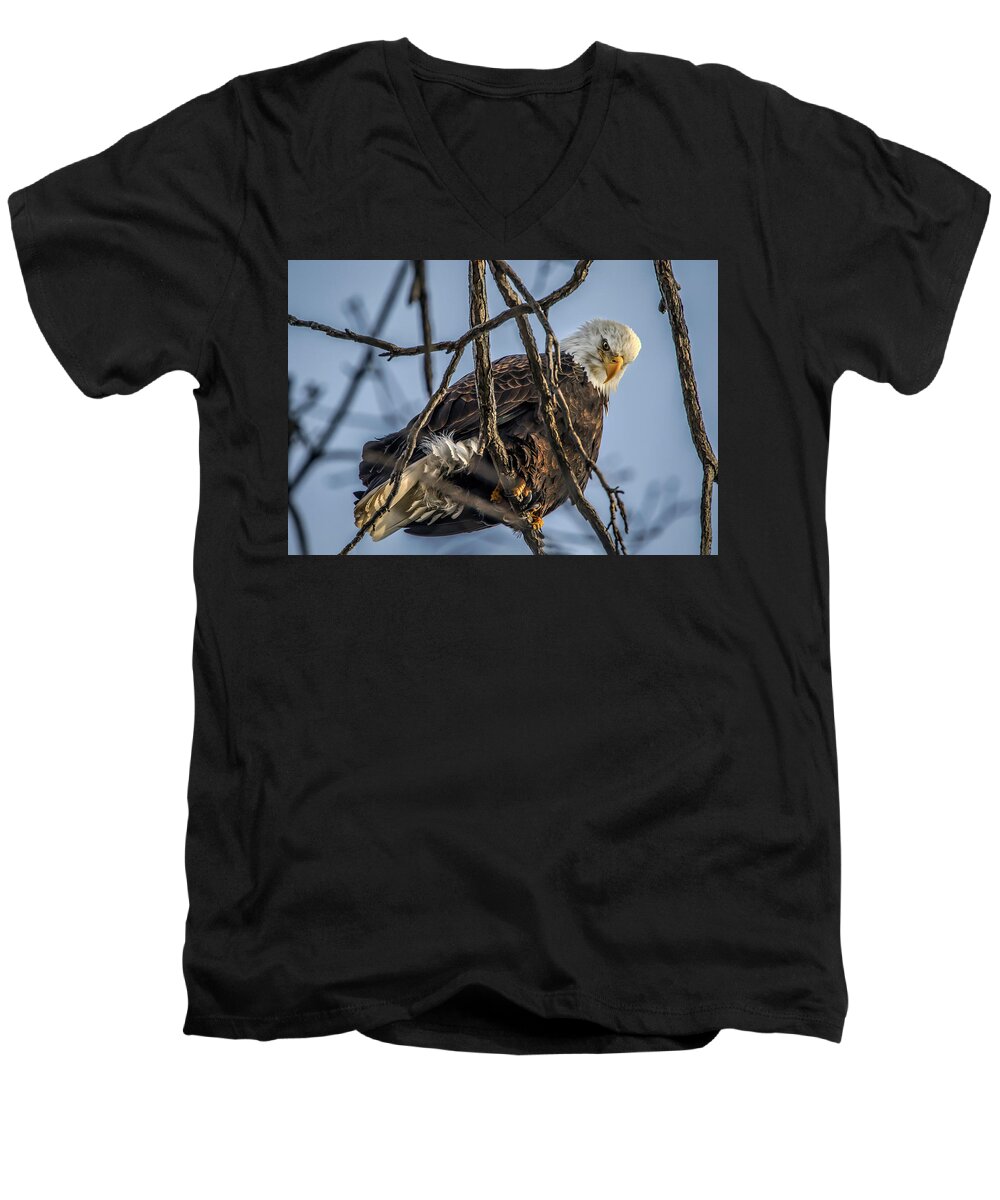 American Bald Eagle Men's V-Neck T-Shirt featuring the photograph Eagle Power by Ray Congrove
