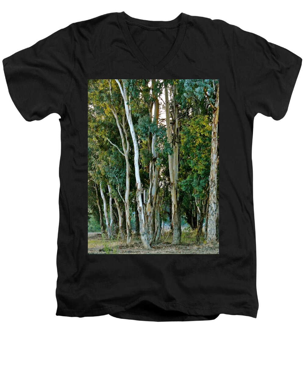 Trees Men's V-Neck T-Shirt featuring the photograph Eucalyptus Trees by Liz Vernand