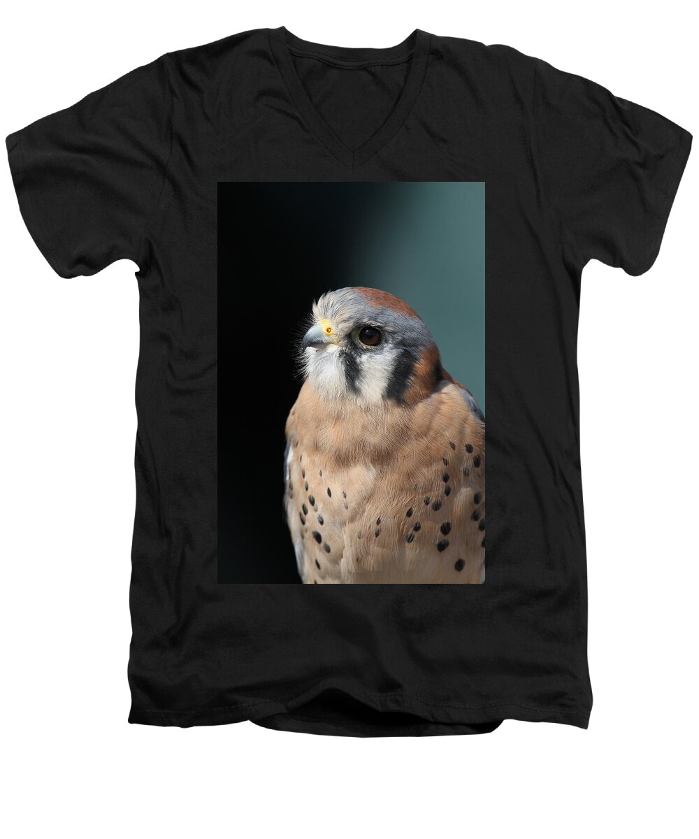 Falcon Men's V-Neck T-Shirt featuring the photograph Eye of Focus by Laddie Halupa