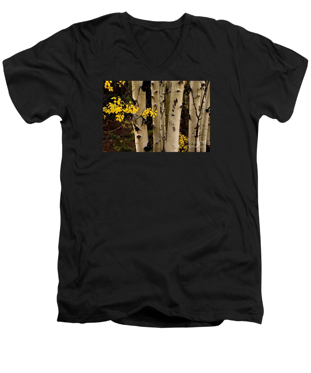 Afternoon Men's V-Neck T-Shirt featuring the photograph Fall Decorations by Greg Summers
