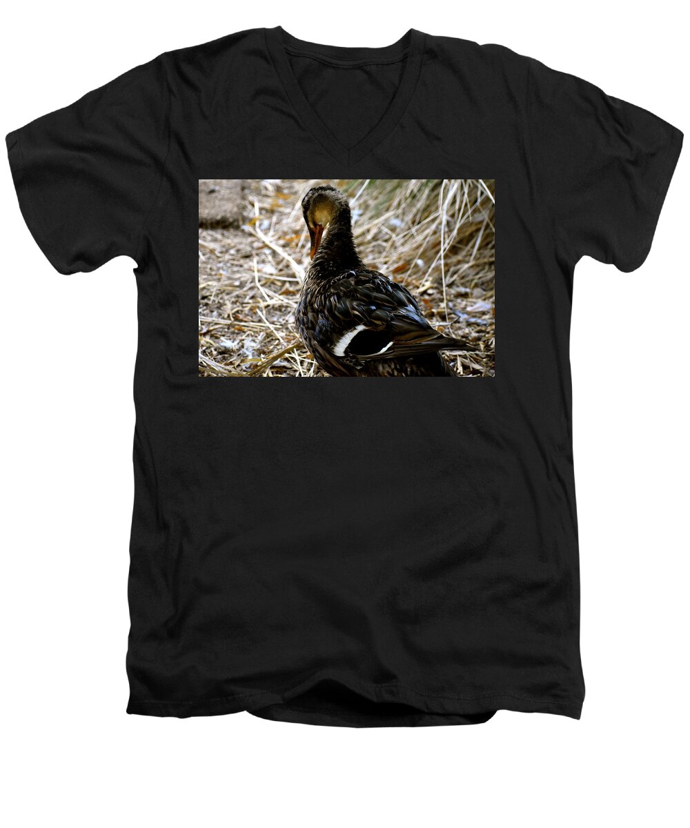 Duck Men's V-Neck T-Shirt featuring the photograph Feathers 2 by Melisa Elliott