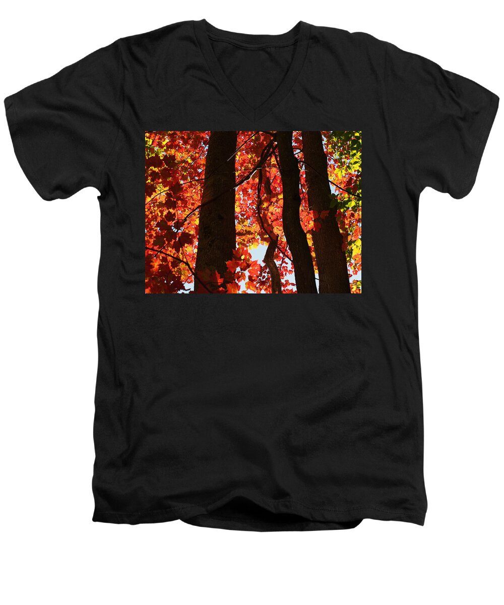 Nature Men's V-Neck T-Shirt featuring the photograph Firey Autumn Color by Dorothy Lee