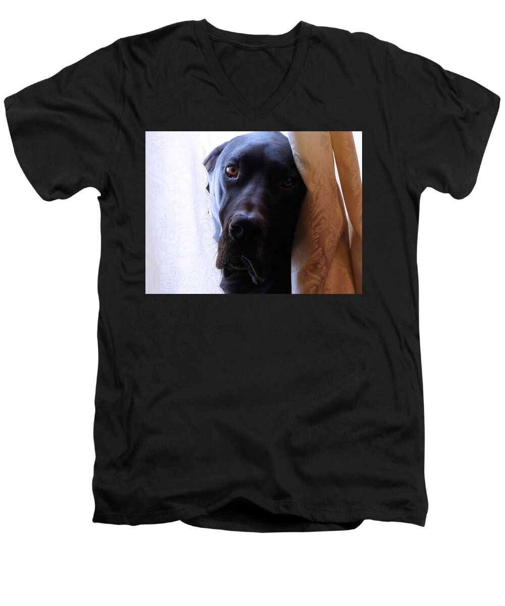 Great Dane Men's V-Neck T-Shirt featuring the photograph Gentle Giant by Theresa Campbell