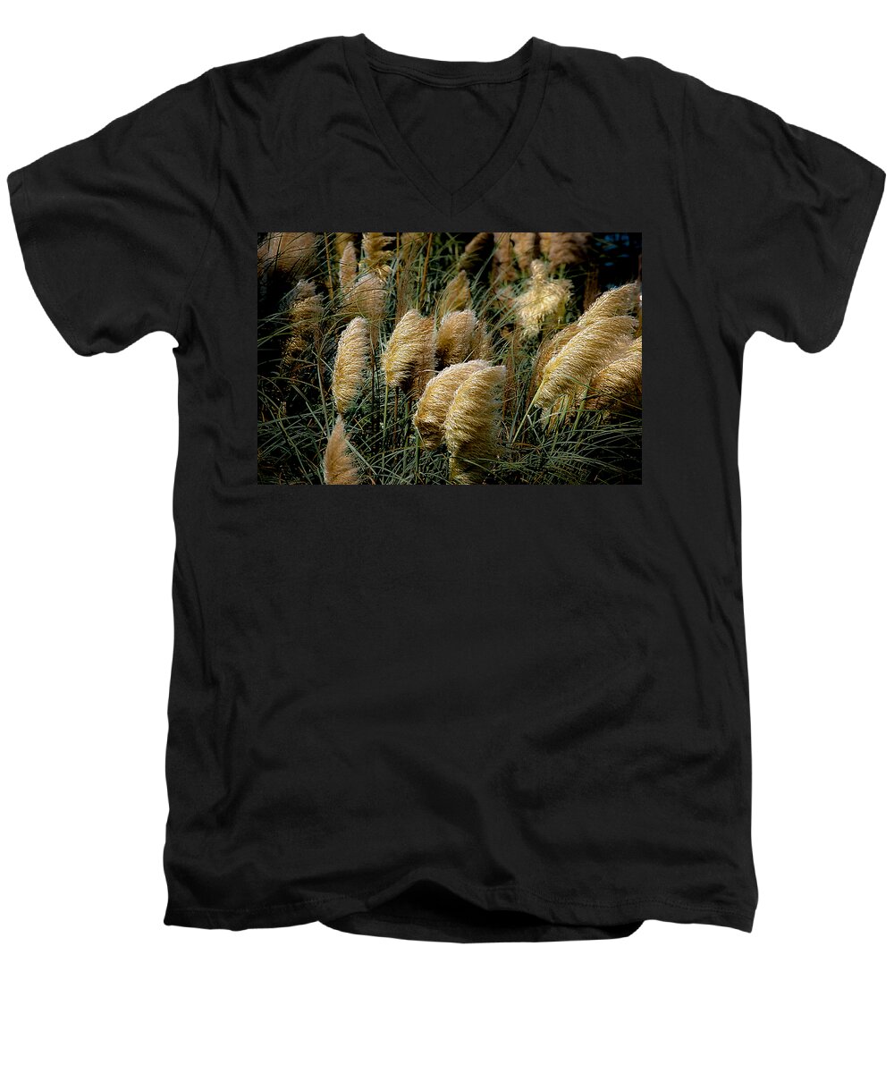 Pampas Men's V-Neck T-Shirt featuring the photograph Golden Pampas in the Wind by DigiArt Diaries by Vicky B Fuller