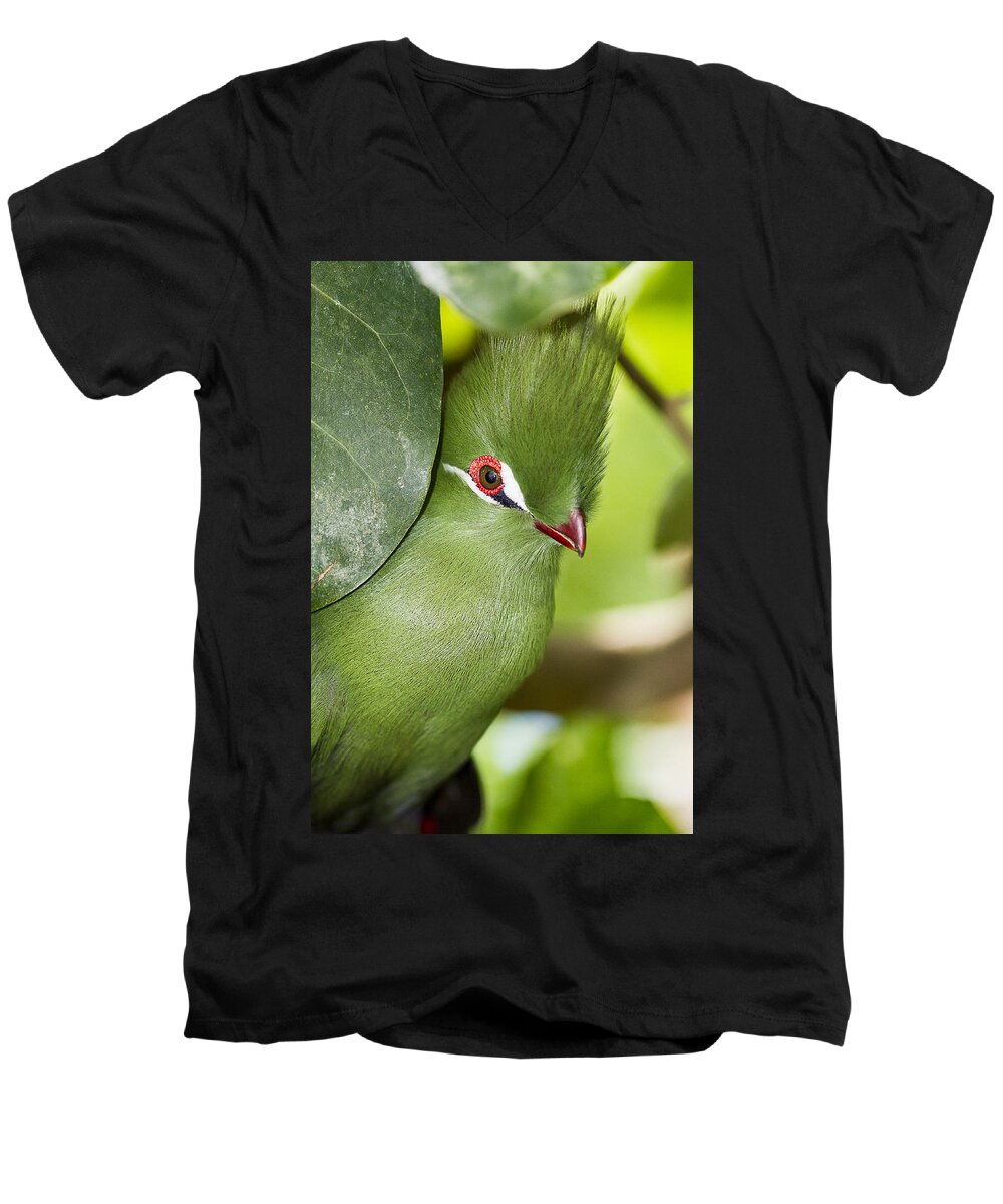 Bird Men's V-Neck T-Shirt featuring the photograph Green Turaco Bird Portrait by Bob Slitzan