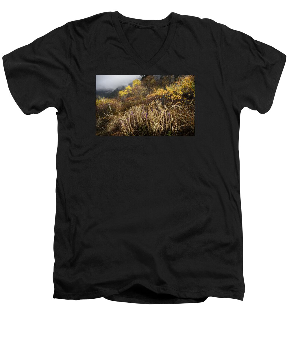 Autumn Men's V-Neck T-Shirt featuring the photograph Green Mountain Dawn by John Poon