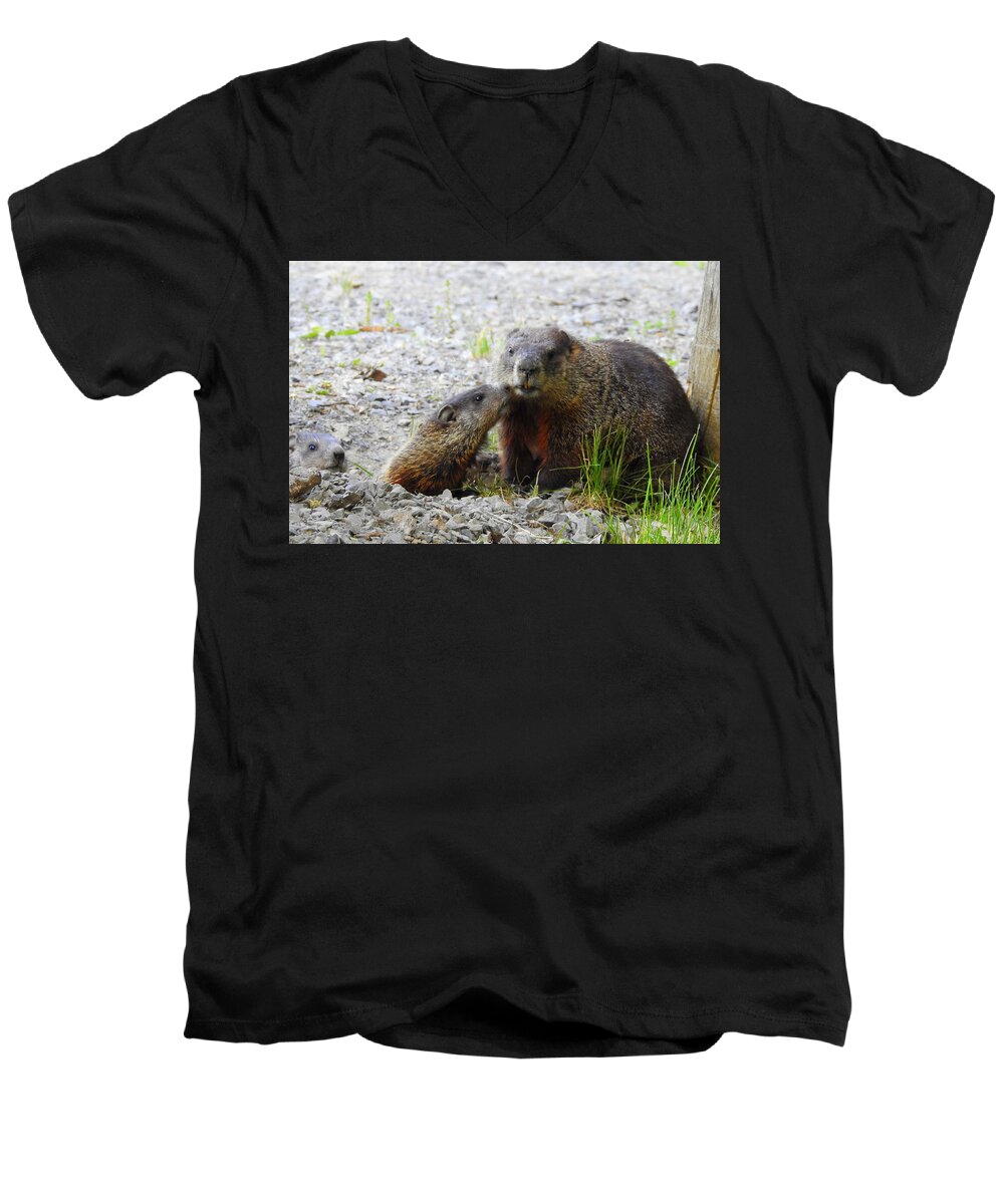 Groundhogs Men's V-Neck T-Shirt featuring the photograph Groundhog Kiss by Betty-Anne McDonald