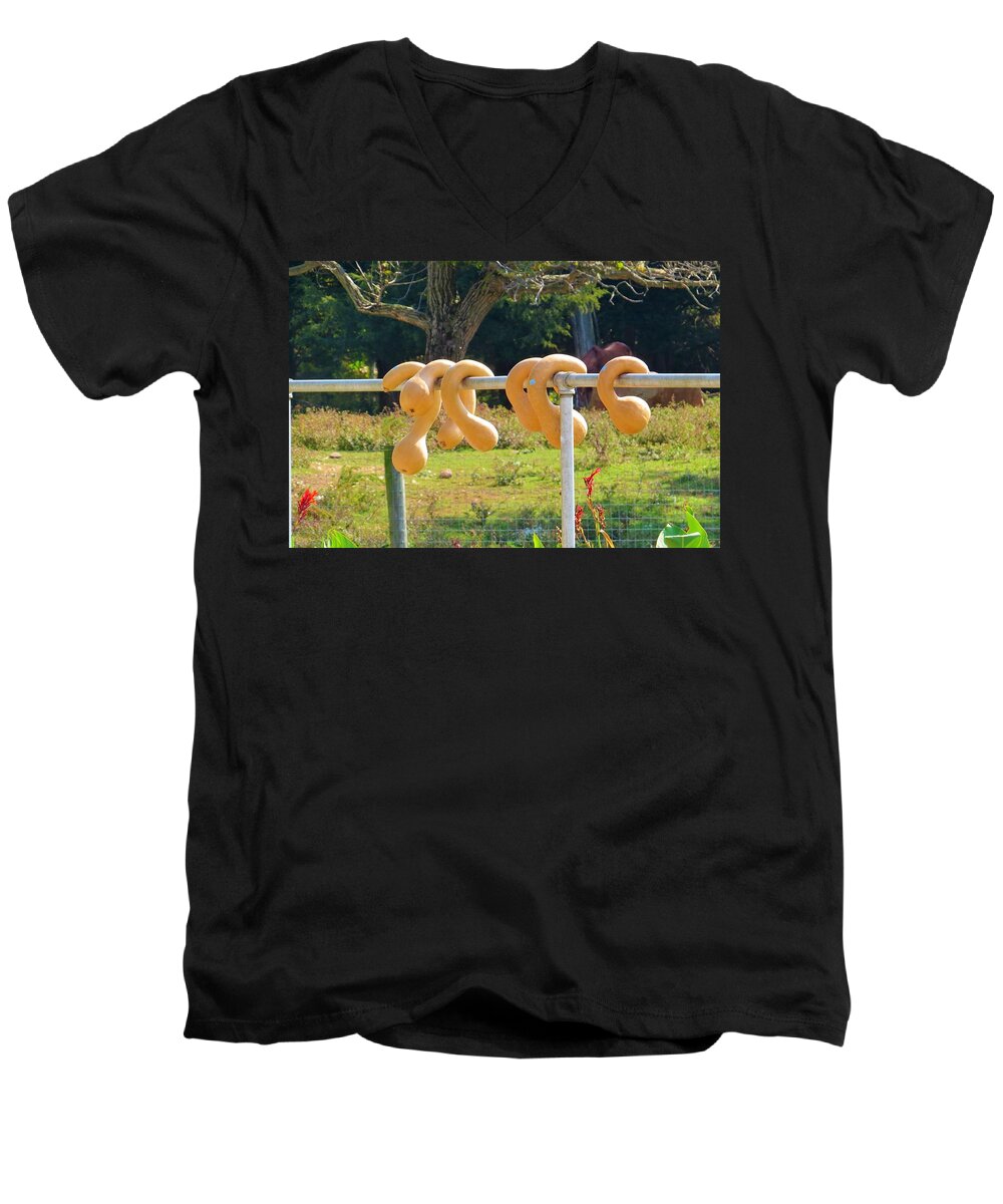 Autumn Men's V-Neck T-Shirt featuring the photograph Hang In There by Jeanette Oberholtzer